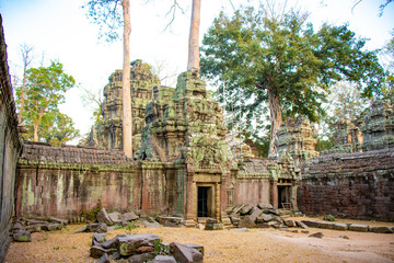 A beautiful view of Ta Phrom temple at Siem Reap, Cambodia.