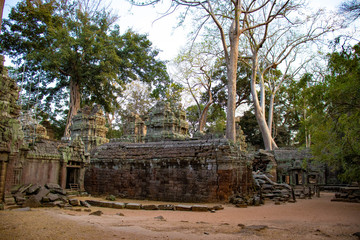 Obraz premium A beautiful view of Ta Phrom temple at Siem Reap, Cambodia.