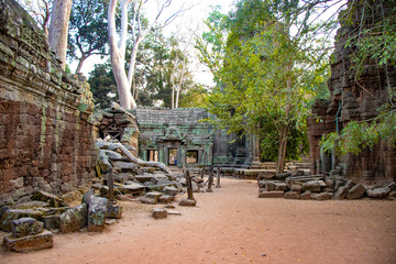 A beautiful view of Ta Phrom temple at Siem Reap, Cambodia.