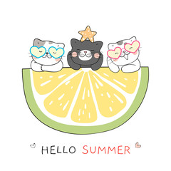Draw cat with lemon slice for summer.Doodle cartoon style.