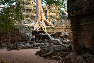 A beautiful view of Ta Phrom Temple at Siem Reap, Cambodia.