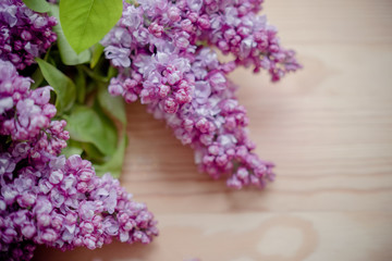 background with lilac branches