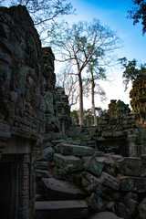 A beautiful view of Ta Phrom Temple at Siem Reap, Cambodia.