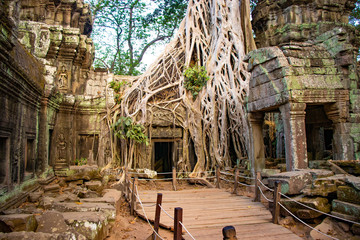 Fototapeta premium Piękny widok na świątynię Ta Phrom w Siem Reap w Kambodży.
