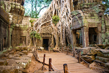 A beautiful view of Ta Phrom Temple at Siem Reap, Cambodia.