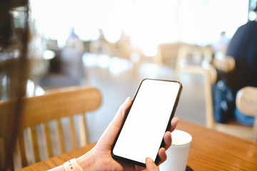 Businesswoman using mobile cell phone with green touch screen in cafe. Sharing messages on social media.