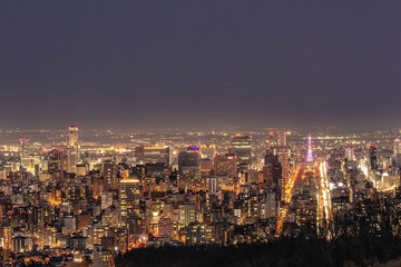 Fototapeta na wymiar 大倉山から見る札幌市夜景