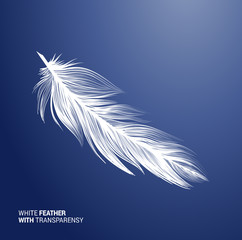 White fluffy feather, vector isolated realistic quill on blue background. Goose or swan bird feather symbol with detailed plumage texture, decoration element, softness symbol, concept design