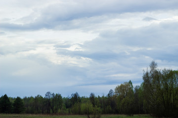 Cloudy day in the country. Nature in its original form. Landscape. Bright green color in a natural environment. Rural motives. Trees in lush foliage. Wide spacious fields.