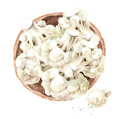 Bowl with fresh cauliflower, top view. Hand drawn watercolor illustration isolated on white background