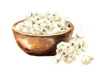 Bowl with fresh cauliflower. Hand drawn watercolor illustration isolated on white background