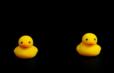 Social Distance using duck with 1 meter, conceptual