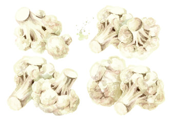 Fresh cauliflower blocks set. Hand drawn watercolor illustration, isolated on white background