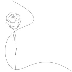 Rose summer flowers isolated on white background. Continuous line drawing. Vector illustration