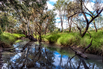 Fototapeta na wymiar Creek through a grain farm in New South Wales, Australia.