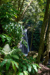 walk and discover the prego salto waterfall on the island of sao miguel, azores