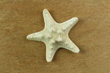 Starfish on a wooden surface.
