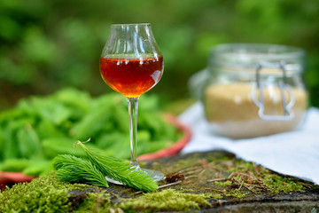 Syrup of spruce needles in a glass on a stalk with cane sugar and spruce shoots needles in the...