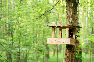 Bird feeder hanging on the tree trunk in the forest