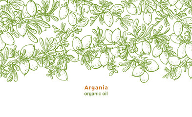 Argan tree. Vector pattern. Bio food, organic oil.