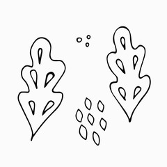  Simple  leaves in scandinavian style. Hand drawn doodle outline black clip art for icons or logo and cards.  Design for stickers and coloring. Stock vector illustration isolated on white.