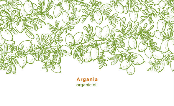 Argan tree. Vector pattern. Bio food, organic oil.