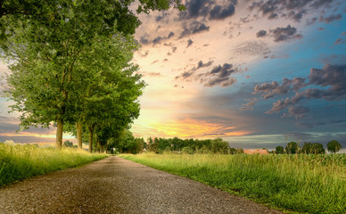 A body of water with grass and trees. High quality photo
