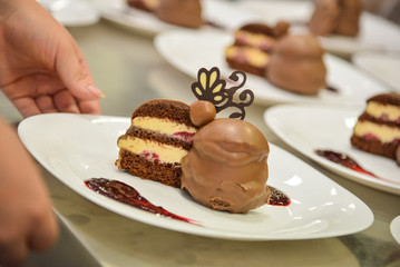 Chocolate cake dessert with chocolate garnish, sauce and brow on white plate
