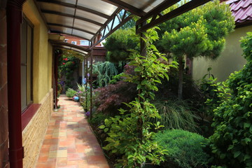 Beautiful summer landscape