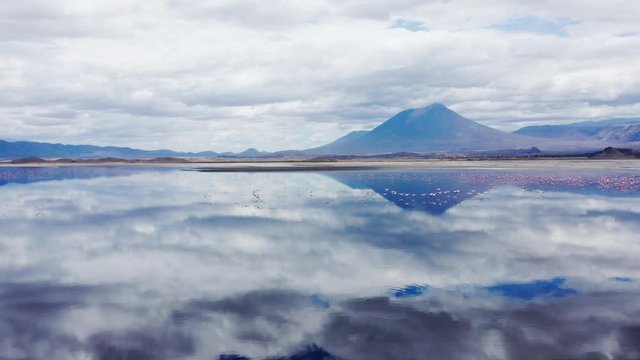 Aerial drone shot flying low over thousands of flamingos in Lake Natron, Tanzania. Great reflections.
