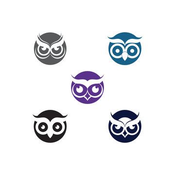 Set of Owl Bird Logo Template Vector