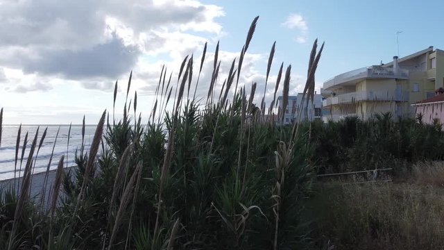 Spiaggia e Trabocchi a Fossacesia marina