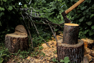 splitting wood with an ax