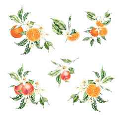 Watercolor blooming orange wedding invitation clipart. Hand-painted orange tree bouquets, tropical fruit clipart, Summer scrapbooking clipart 