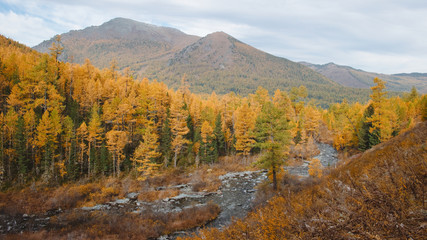 Beautiful autumn landscape vith view on the river in mountain valley 