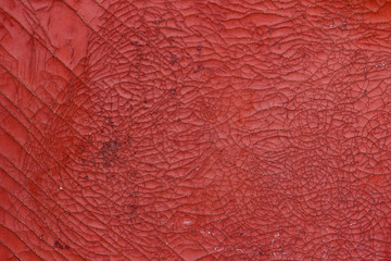 Fototapeta premium old background cracked red door