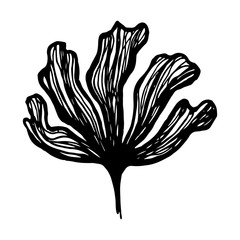 Silhouette of hand drawn flower petals. Line art vector illustration. Botanical sketch isolated on white background. Element for greeting card, poster or wedding invitation design