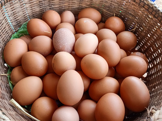 eggs in a basket