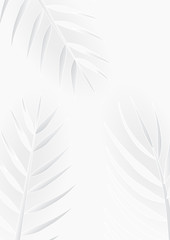 Tropical palm leaves in white and gray shades, summer background, simplicity conceptual, vector image