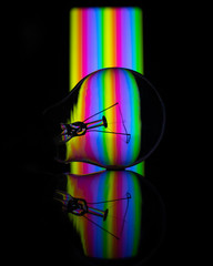 rainbow reflected bulb 