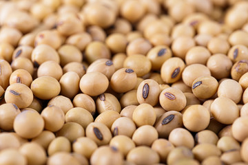 Soybean background. Soybean organic background