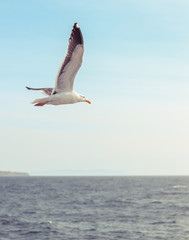 Beach Photos taken in Socal CA 