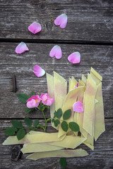 homemade fresh pasta with rosehip petals