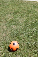 ballon orange sur pelouse