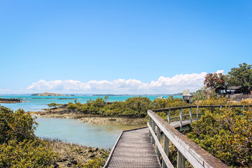 Rangitoto Island - dormant volcano off the coast of Auckland, New Zealand which is accessible to tourists