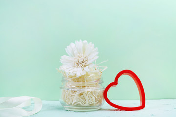 White flower in a glass jar with natural filling on a light green background and part of a red, knitted heart. Copy space - concept of love, romance, family, gift.