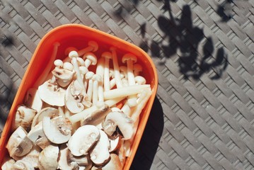 Several type of mushrooms in a food container from top angle.