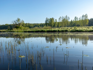 spring landscape with a beautiful calm river, green trees and grass on the river bank, peaceful reflection in the river water