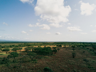 Obraz premium landscape with clouds