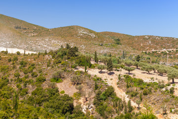 Fototapeta na wymiar Coastal rural landscape with olive trees at sunny day